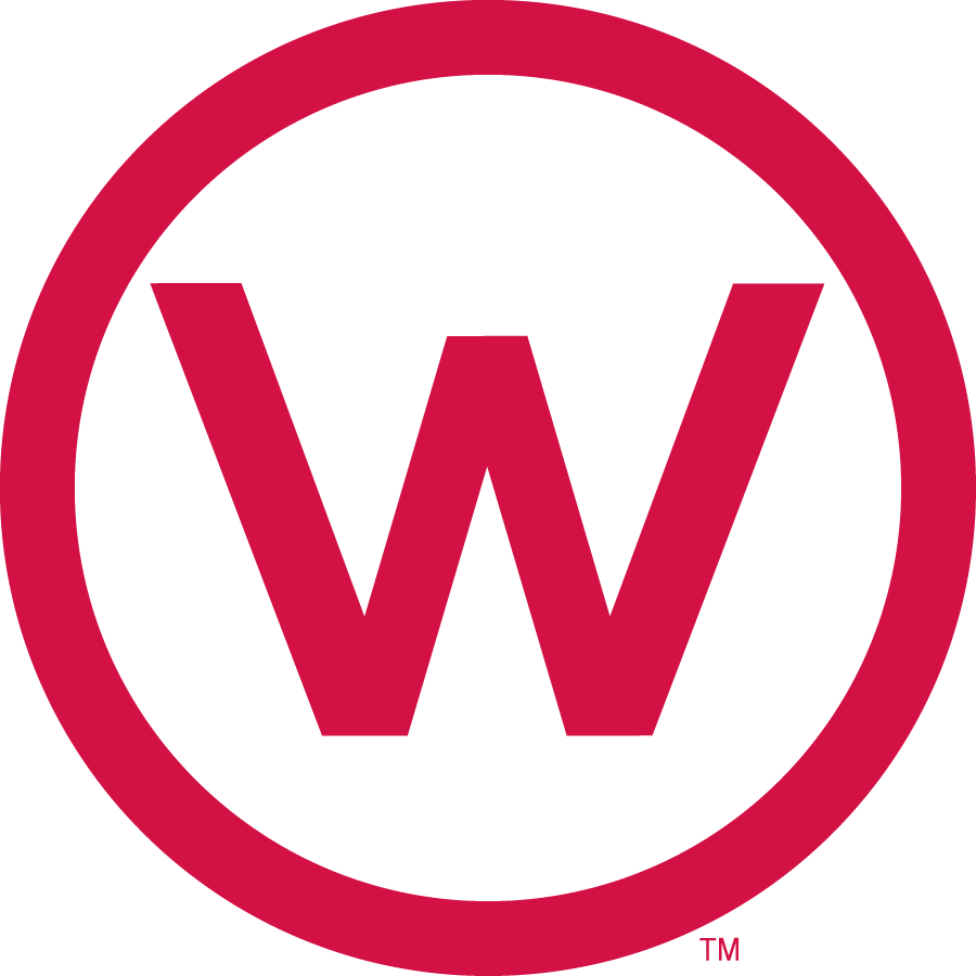 Wisconsin Badgers 1962-1969 Primary Logo diy iron on heat transfer